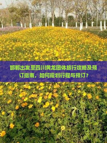 邯郸出发至四川黄龙团体旅行攻略及预订指南，如何规划行程与预订？