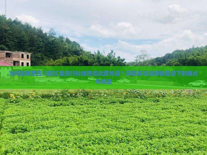 为何淮南至四川都江堰旅行社线路如此受欢迎？深度解析旅游新趋势下的痛点与机遇