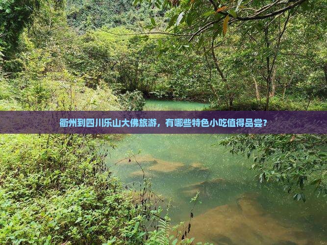 衢州到四川乐山大佛旅游，有哪些特色小吃值得品尝？