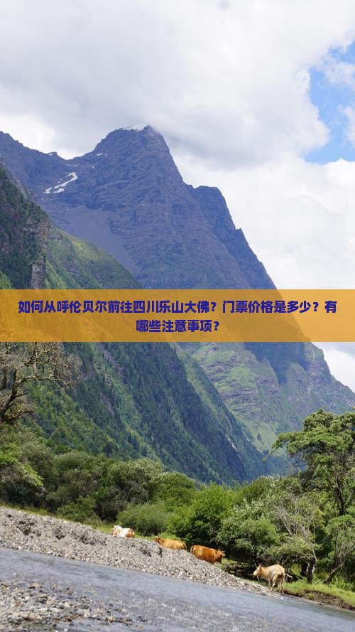 如何从呼伦贝尔前往四川乐山大佛？门票价格是多少？有哪些注意事项？
