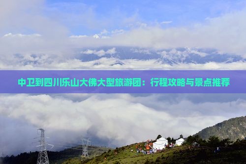 中卫到四川乐山大佛大型旅游团：行程攻略与景点推荐
