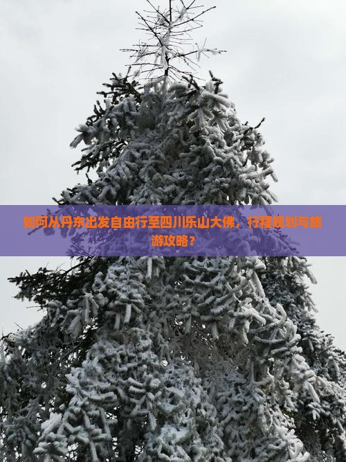 如何从丹东出发自由行至四川乐山大佛，行程规划与旅游攻略？