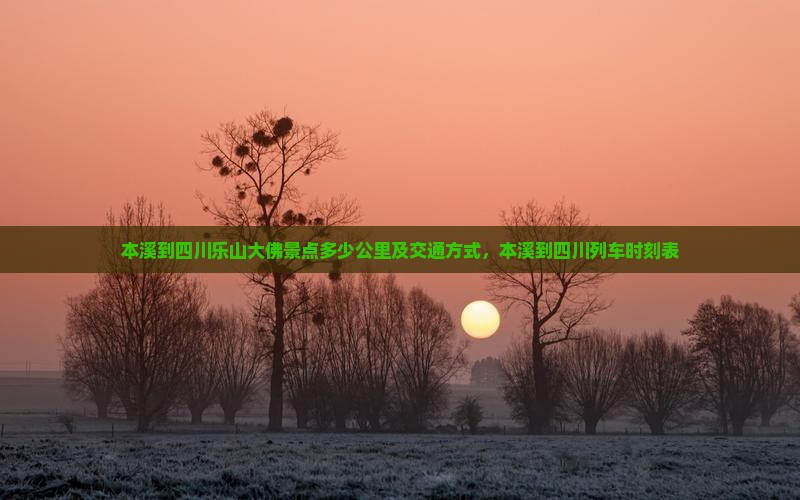 本溪到四川乐山大佛景点多少公里及交通方式，本溪到四川列车时刻表
