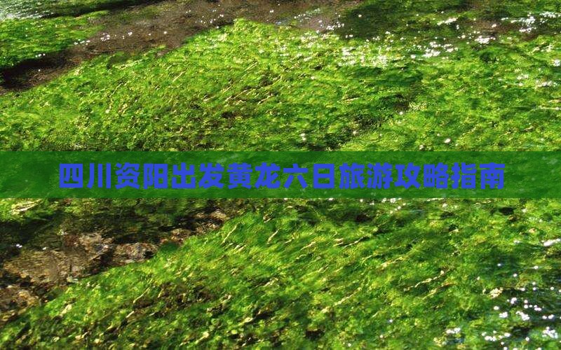 四川资阳出发黄龙六日旅游攻略指南