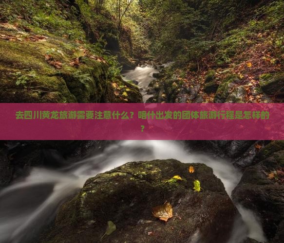 去四川黄龙旅游需要注意什么？喀什出发的团体旅游行程是怎样的？