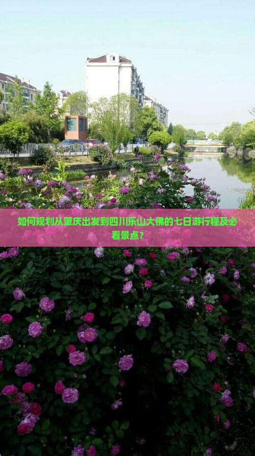 如何规划从肇庆出发到四川乐山大佛的七日游行程及必看景点？