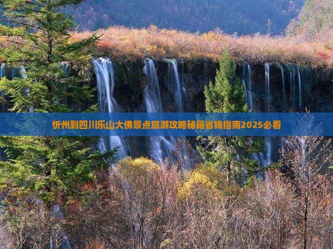 忻州到四川乐山大佛旅行社
