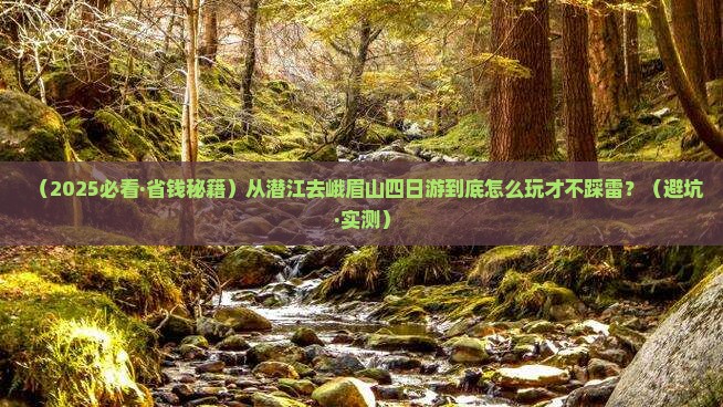 潜江到四川峨眉山四日游