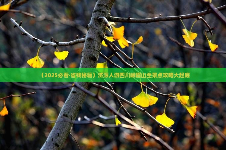 济源去四川峨眉山旅游 济源去四川峨眉山旅游