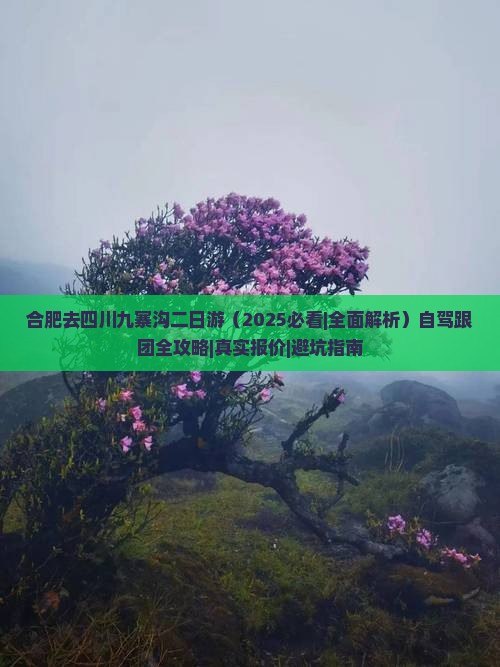 合肥去四川九寨沟二日游