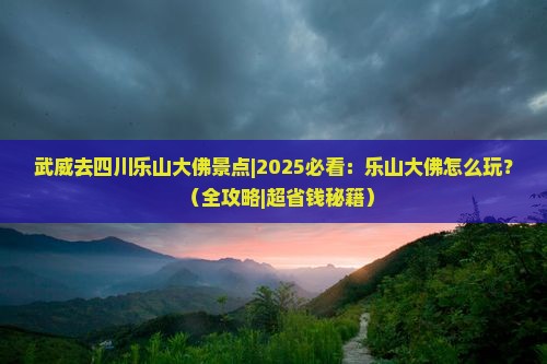 武威去四川乐山大佛景点