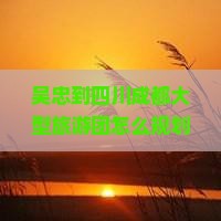 吴忠到四川成都大型旅游团