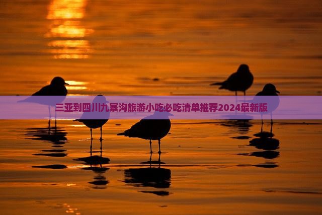 三亚到四川九寨沟旅游小吃