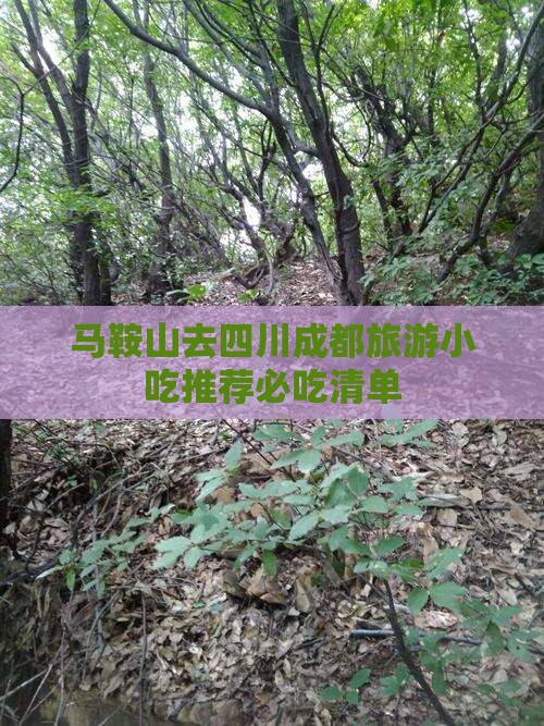 马鞍山去四川成都旅游小吃