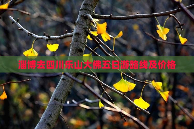 淄博去四川乐山大佛五日游