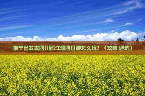 南宁去四川都江堰四日游
