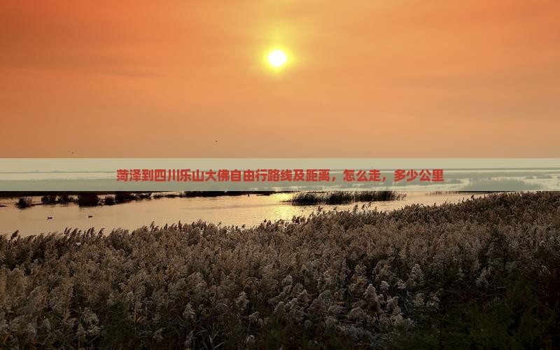 菏泽到四川乐山大佛自由行