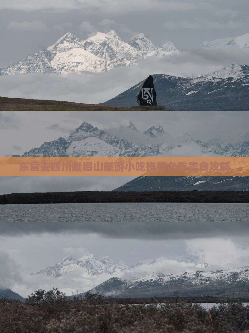 东营去四川峨眉山旅游小吃