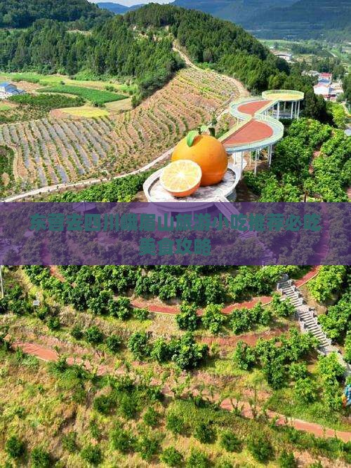 东营去四川峨眉山旅游小吃