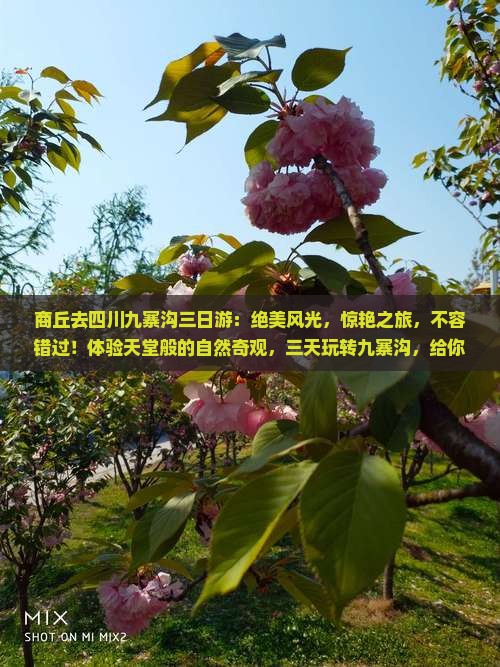 商丘去四川九寨沟三日游