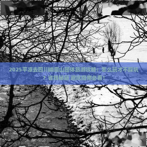 平凉去四川峨眉山团体旅游 平凉去四川峨眉山团体旅游