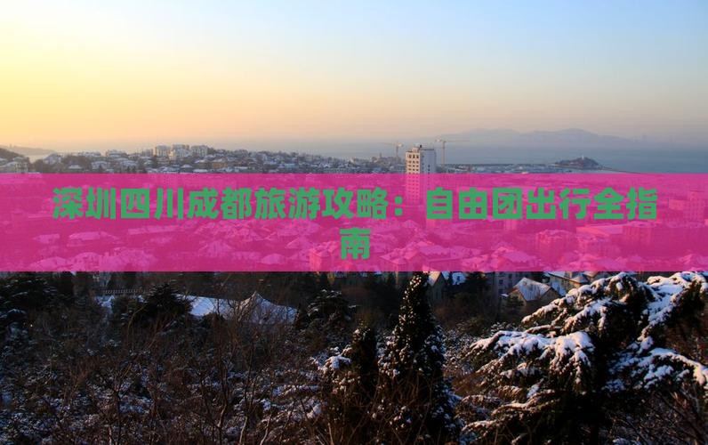 深圳到四川成都自由团