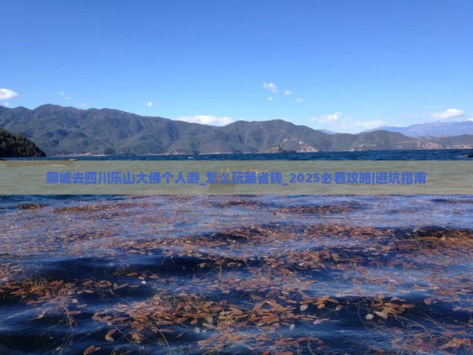 聊城去四川乐山大佛个人游