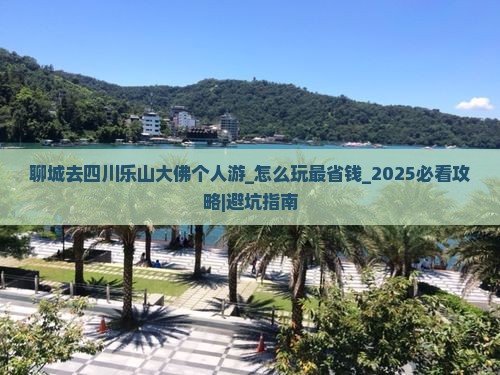 聊城去四川乐山大佛个人游