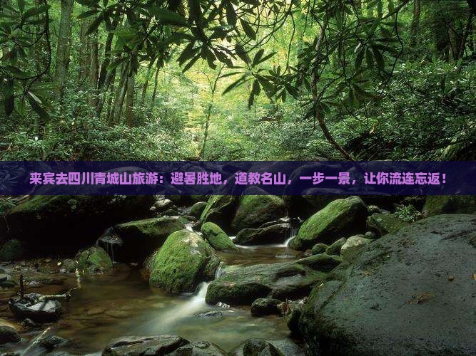 来宾去四川青城山旅游