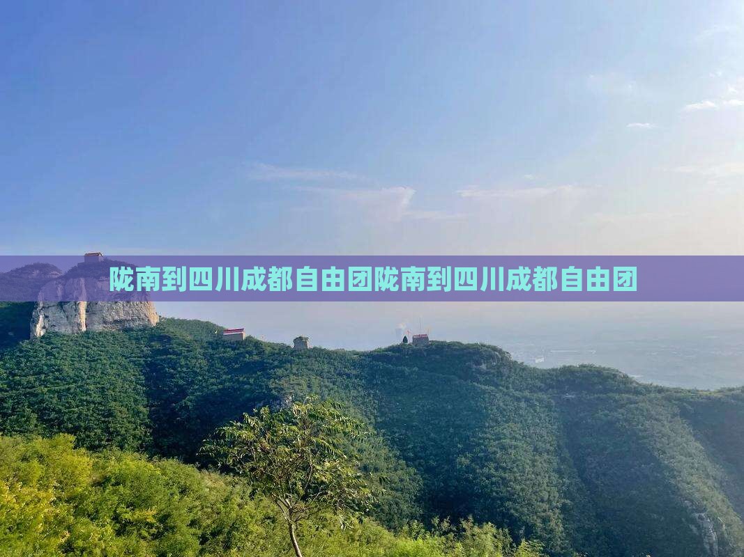 陇南到四川成都自由团