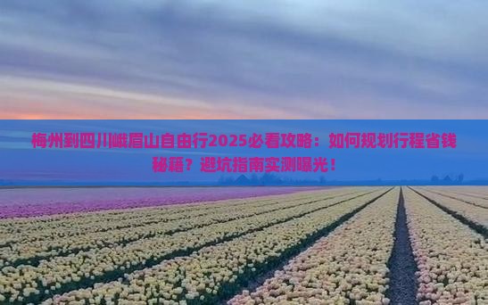 梅州到四川峨眉山自由行