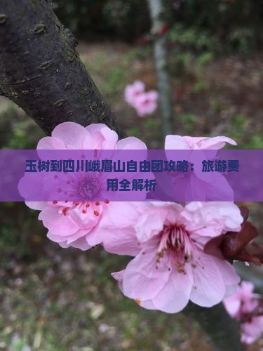 玉树到四川峨眉山自由团