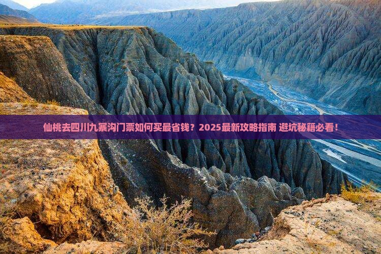 仙桃去四川九寨沟门票