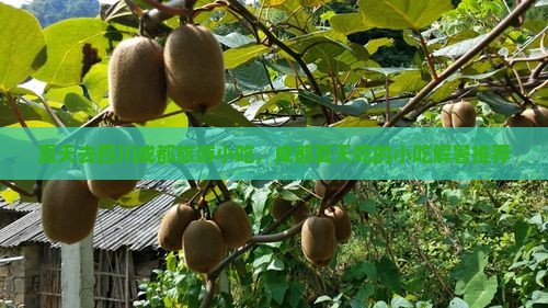 夏天去四川成都旅游小吃