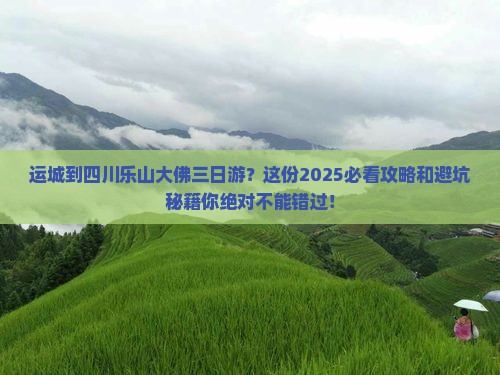 运城到四川乐山大佛三日游
