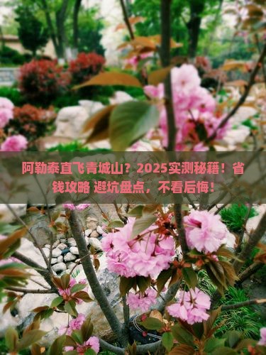阿勒泰去四川青城山一日