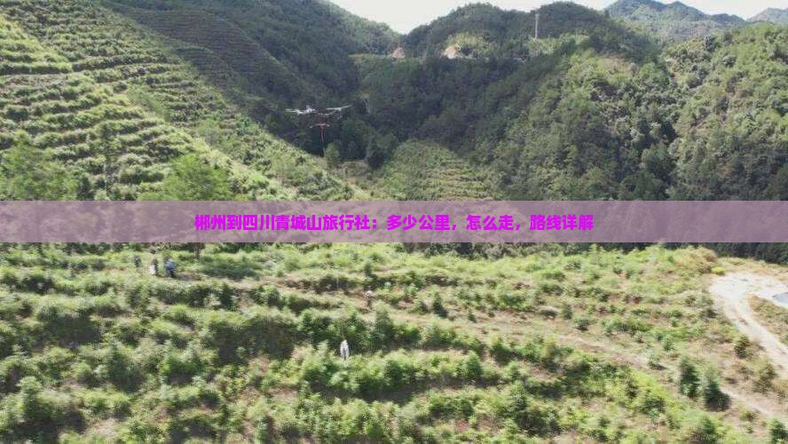 郴州到四川青城山旅行社