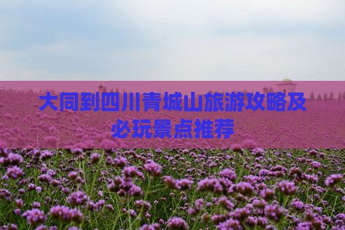 大同到四川青城山哪里玩