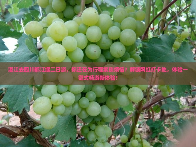 湛江去四川都江堰二日游