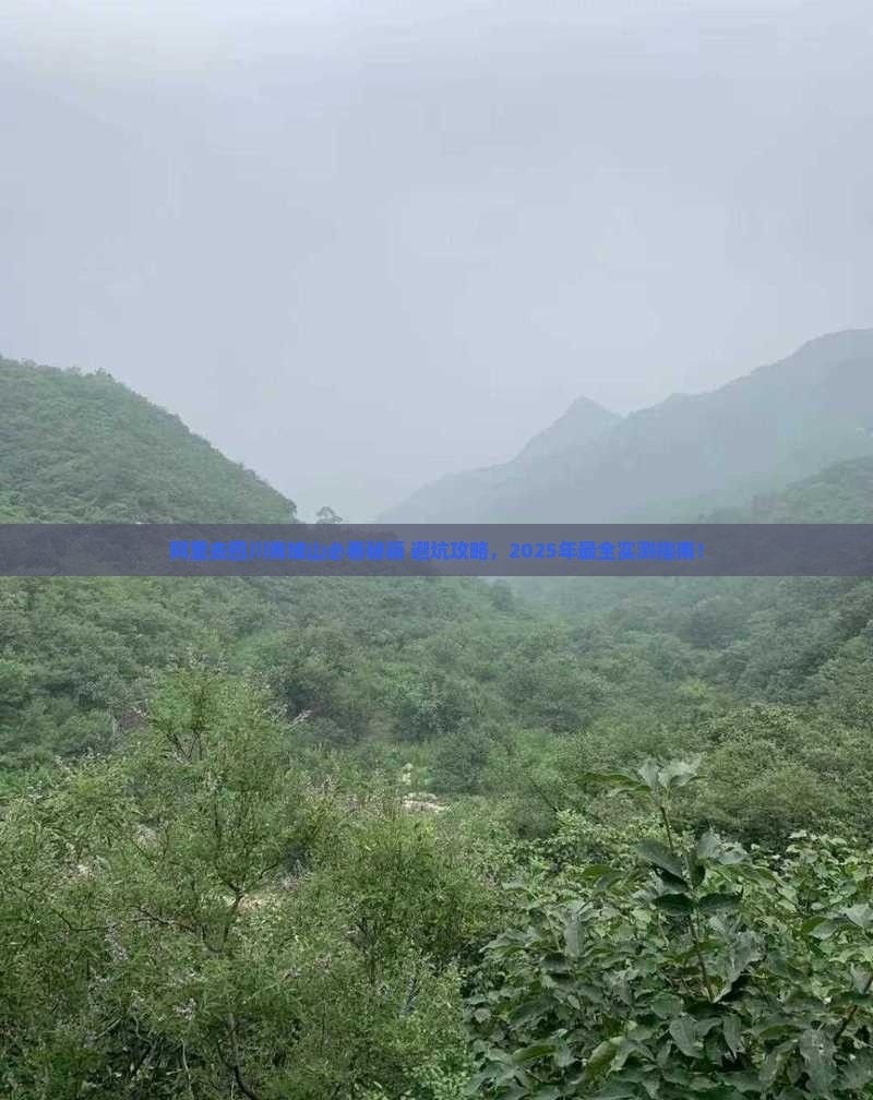 阿里去四川青城山必去地