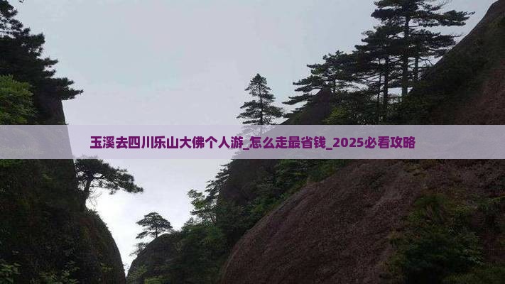 玉溪去四川乐山大佛个人游