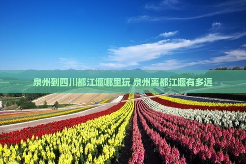 泉州到四川都江堰哪里玩