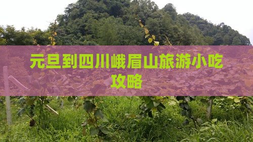 元旦到四川峨眉山旅游小吃