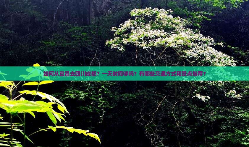 如何从宜昌去四川成都？一天时间够吗？有哪些交通方式和景点推荐？
