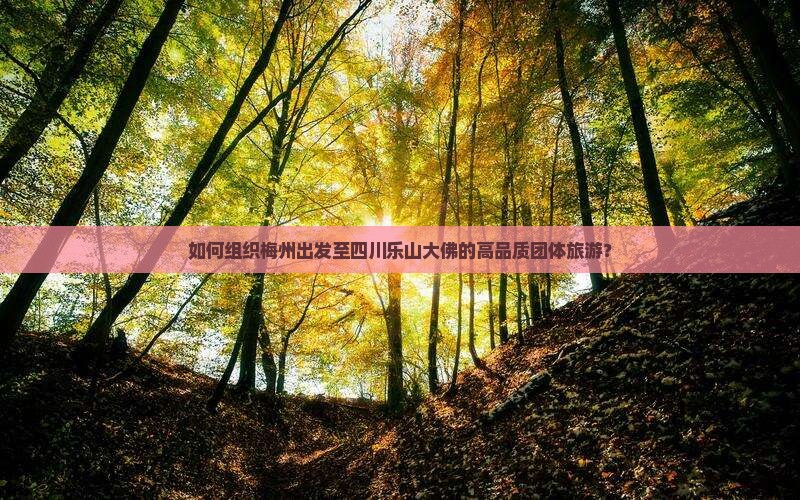 如何组织梅州出发至四川乐山大佛的高品质团体旅游？