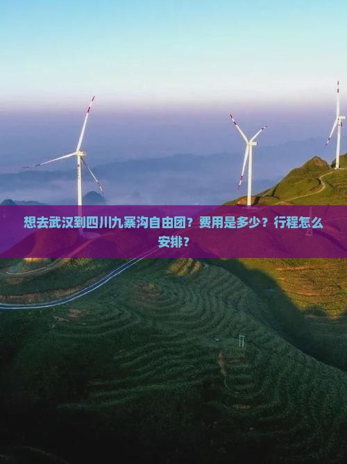 想去武汉到四川九寨沟自由团？费用是多少？行程怎么安排？