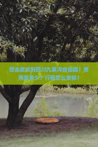 想去武汉到四川九寨沟自由团？费用是多少？行程怎么安排？