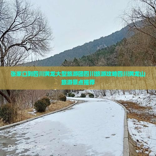 张家口到四川黄龙大型旅游团四川旅游攻略四川黄龙山旅游景点推荐