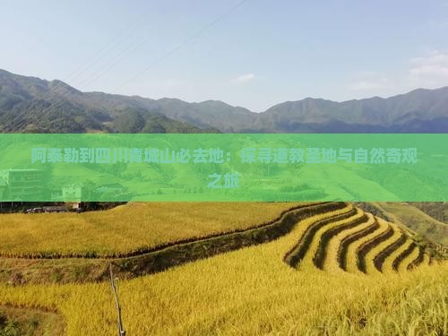 阿泰勒到四川青城山必去地：探寻道教圣地与自然奇观之旅