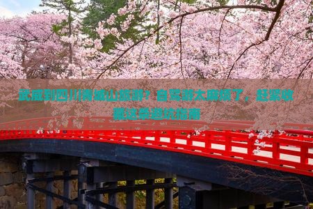 武威到四川青城山旅游？自驾游太麻烦了，赶紧收藏这条避坑指南